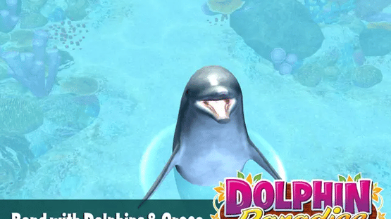 Dolphin Paradise: Wild Friends Screenshot