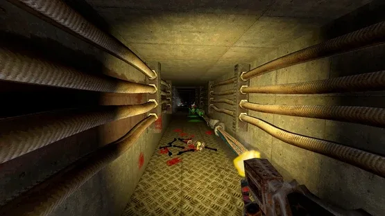 Flaw screenshot 2