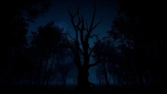 Slender: The Arrival Screenshot