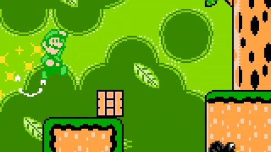 Luigi and the Quest for Nothing 2 Screenshot
