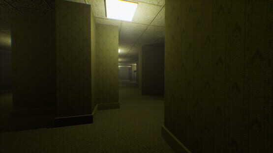 The Backrooms Recorded screenshot 6