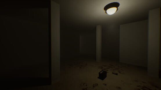 The Backrooms Recorded screenshot 2