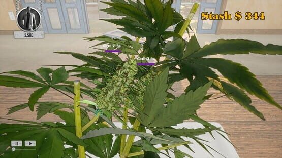 screenshot 13