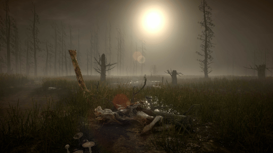 Dagon: The Railway Horror Screenshot