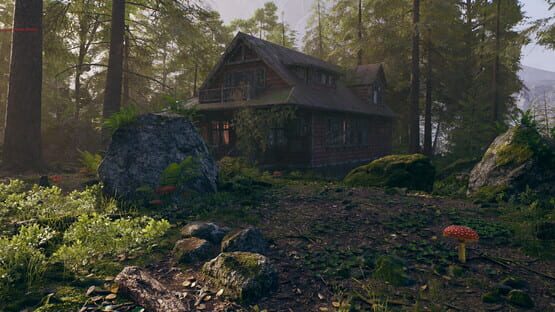 Thumbnail 15