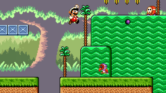 Super Mario Bros 2: Mega Mario X Screenshot