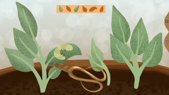 Tulip screenshot 1