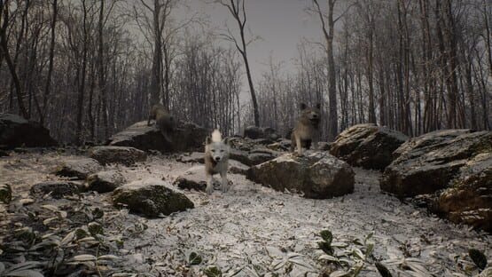 Tales of Anturia: Hejstos screenshot 5