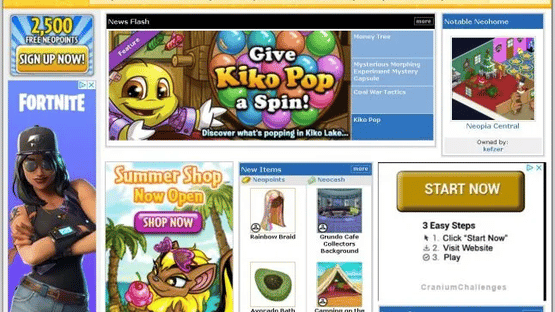 Neopets Browser Screenshot