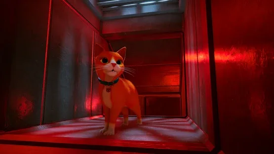 Schrodinger's Cat Burglar screenshot 5
