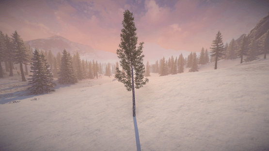 Birch Simulator Screenshot