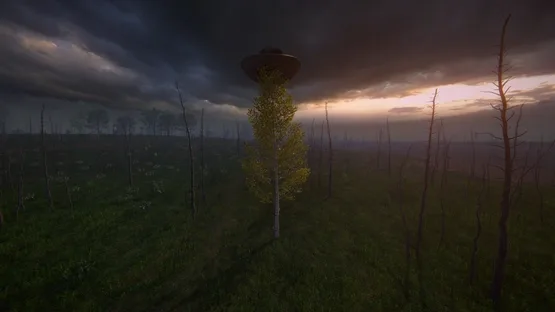 Birch Simulator screenshot 10
