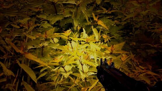 Strange Adventures screenshot 1