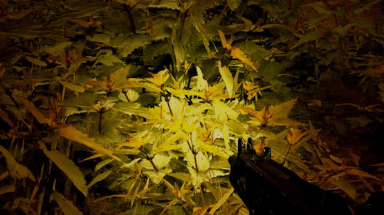 Strange Adventures Screenshot