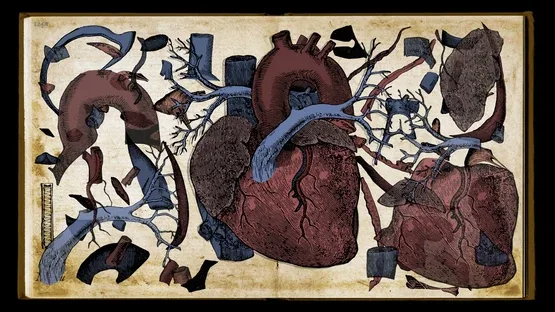 Wound Man screenshot 4