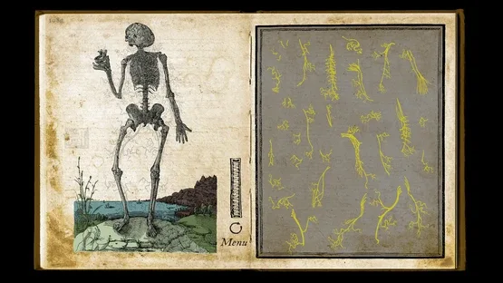 Wound Man screenshot 8