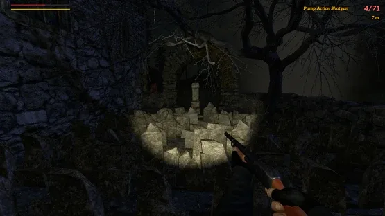 Thumbnail 19