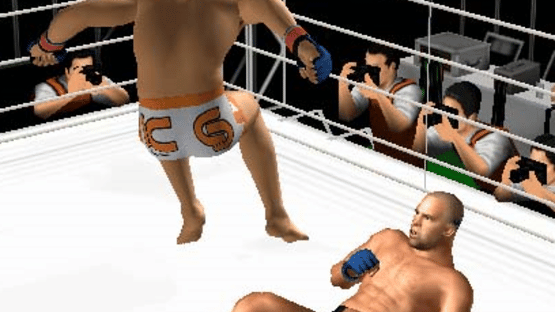 Pride FC: Fighting Championships Screenshot