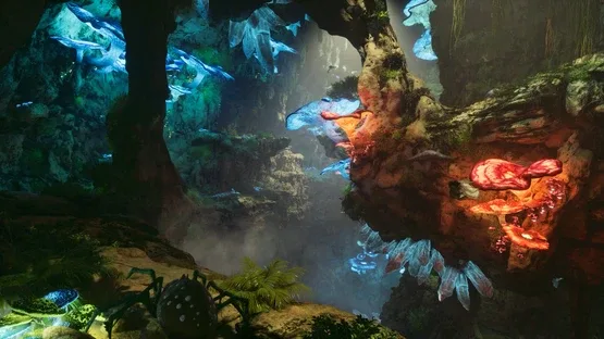 Screenshot 13