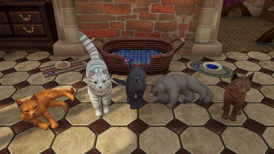 screenshot 11
