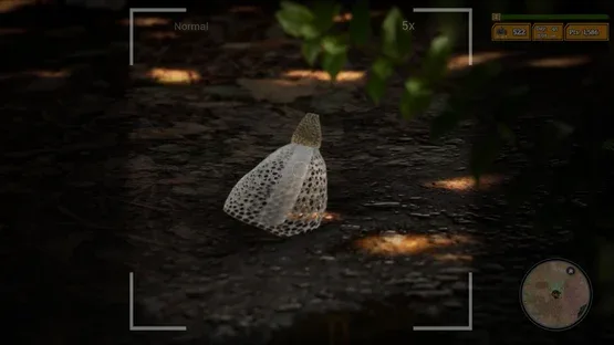 Screenshot 11