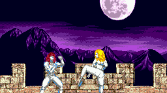 Fight for Vengeance Screenshot