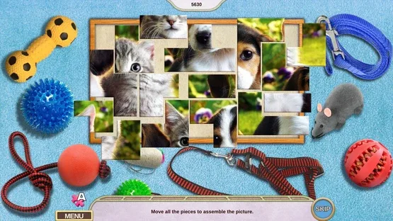 Screenshot 11