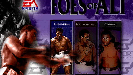 Foes of Ali Screenshot