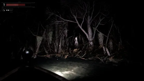 Drowned Lake screenshot 3