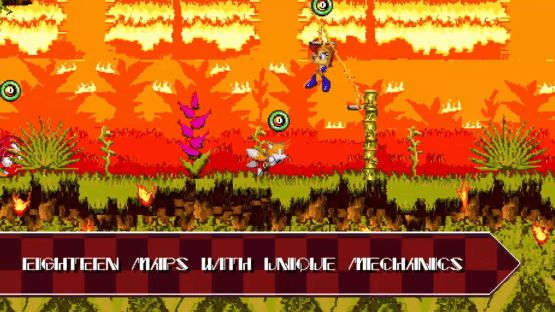 Sonic.exe The Disaster 2D Remake Screenshot