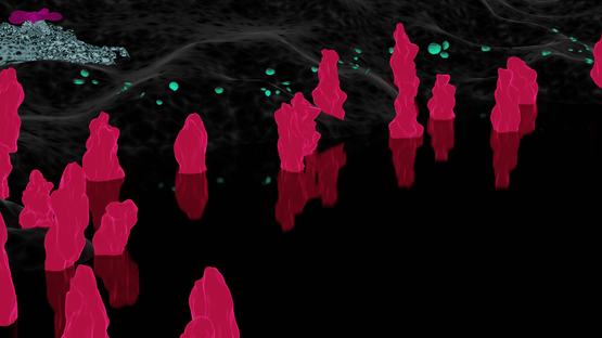 Eon of the Green: Area Crescent Screenshot