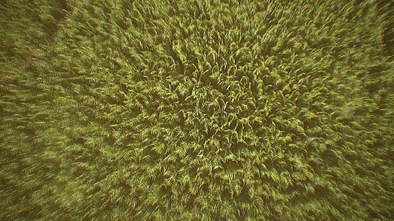 Outfield screenshot 5