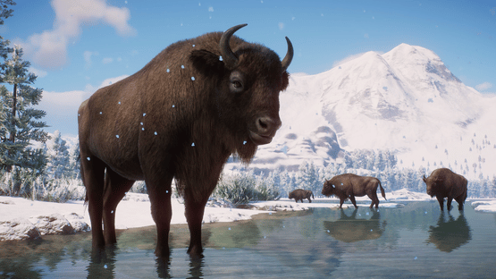 Planet Zoo: Eurasia Animal Pack Screenshot