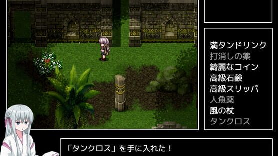 ソニアの大冒険 -3つの秘宝の隠されたナゾ！- screenshot 3