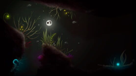 Evolution: From the Little Light cover