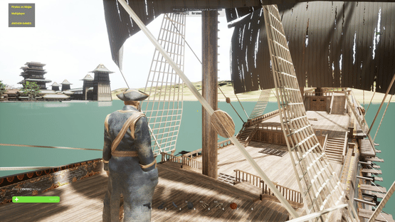 Pirates vs. Ninjas Screenshot