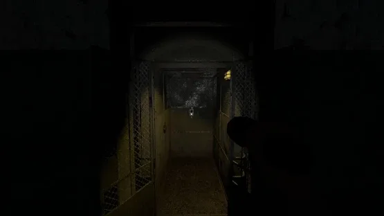 Asylum Nightmares screenshot 4