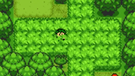 Thumbnail 11