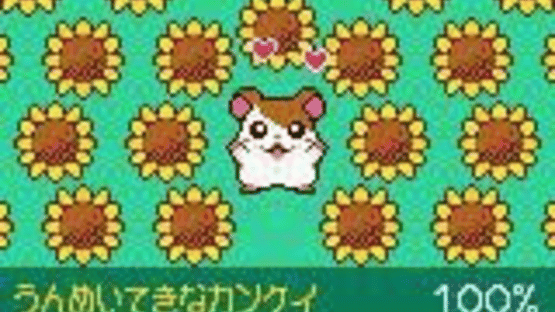 Tottoko Hamtaro: Tomodachi Daisakusen Dechu Screenshot