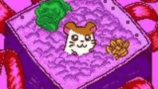 Tottoko Hamtaro: Tomodachi Daisakusen Dechu Screenshot