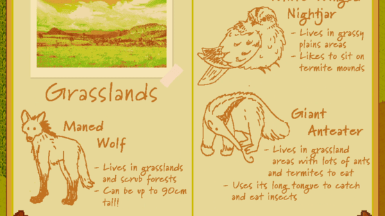 Snap! A Cerrado Adventure Screenshot