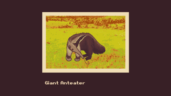 Snap! A Cerrado Adventure Screenshot