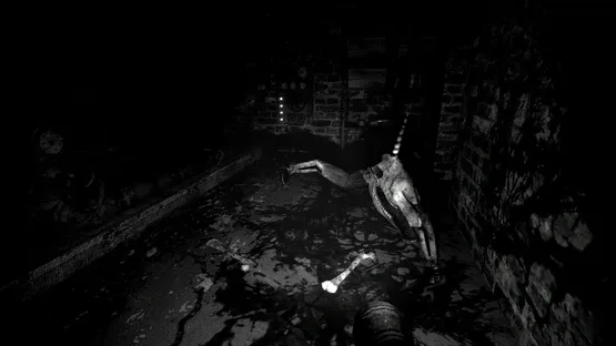 The Pony Factory screenshot 3