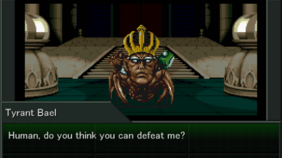 Shin Megami Tensei VX Screenshot