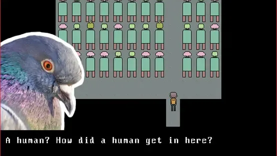 Birds of a Feather screenshot 3