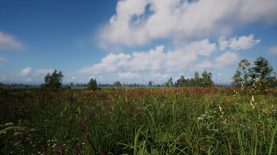 Russian Soul Simulator Screenshot