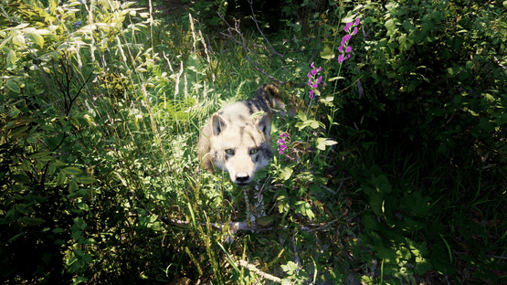 Russian Soul Simulator Screenshot