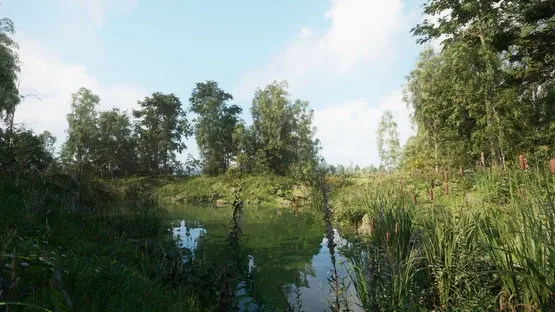 Thumbnail 11