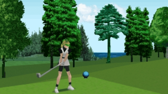 Nihon Pro Golf Double Eagle Screenshot