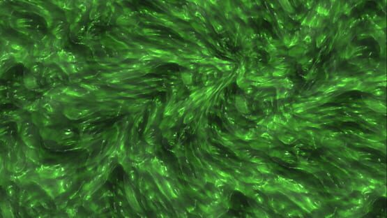 Slime Simulator Games screenshot 3